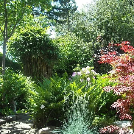 B&B Het Tuinhuisje-3