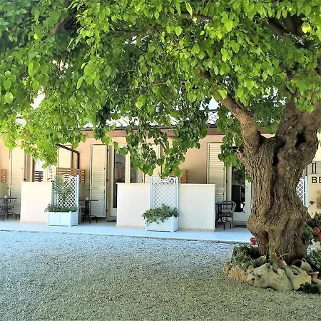 Il Gelso di Sofia B&B-2