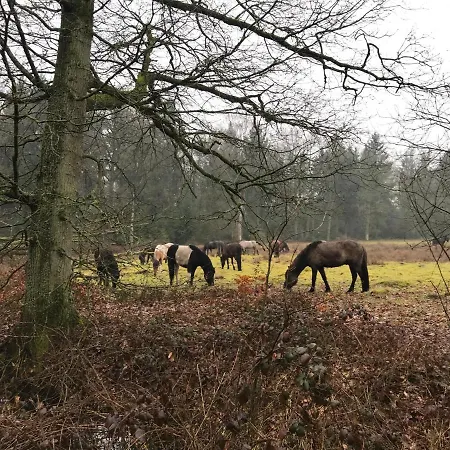 De Kempse Hoeve B&B-2