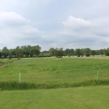 De Weije Wereld-3