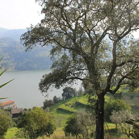 Quinta Das Quintas & Spa-2