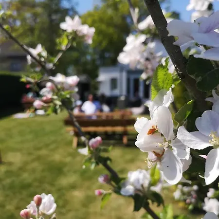 B&B De Koffietuin-2
