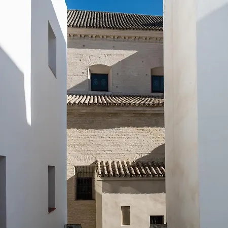 Le Petit Palü Sevilla-2