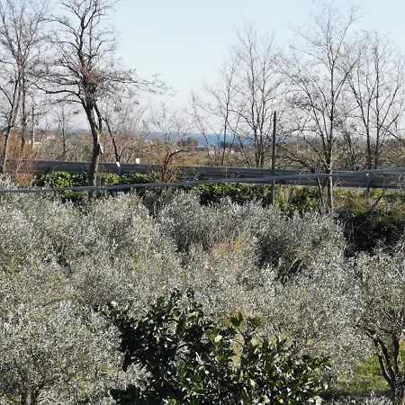 Il Feudo-3