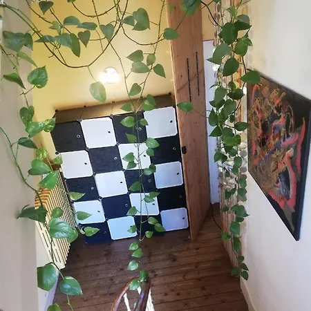 La Chambre d'hôte de Chris-3