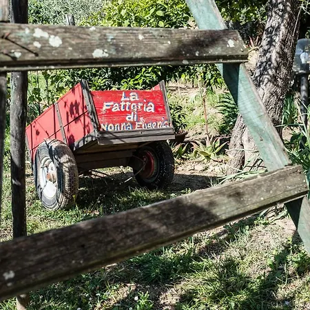 La Fattoria Di Nonna Eugenia-2
