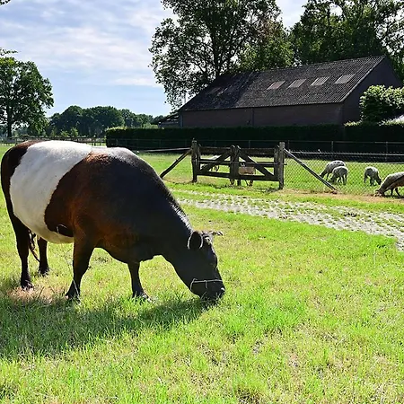 De Lakenvelder B&B Eersel-3