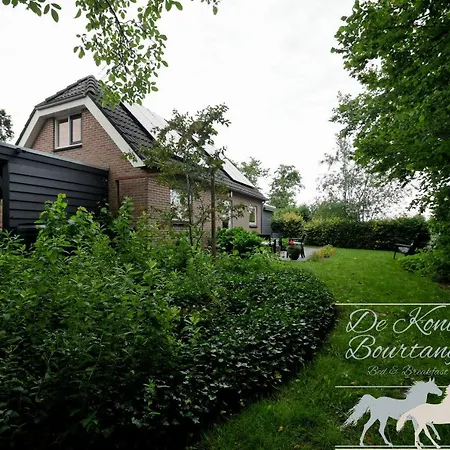 B&B De Konik Bourtange-3