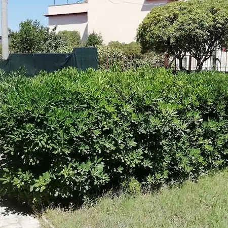 Monolocali e stanze in Villa a 350 mt spiaggia libera Lido delle Sirene-2