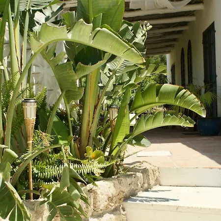 Finca Mil Estrellas-2