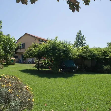 B&B La Casa Dei Gelsi-3