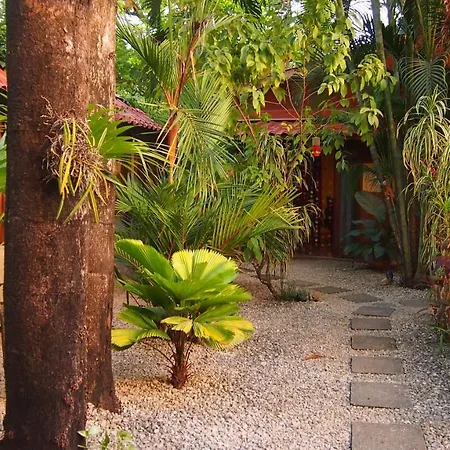 Samara Palm Lodge-2