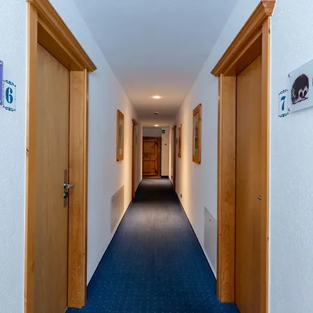Sport Hotel Alpina-2