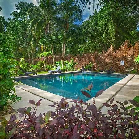 Tierra Maya Hotel Spa & Sanctuary-2