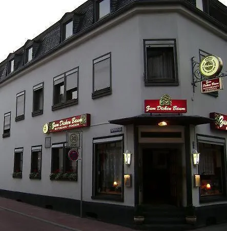 Hotel zum dicken Baum-3