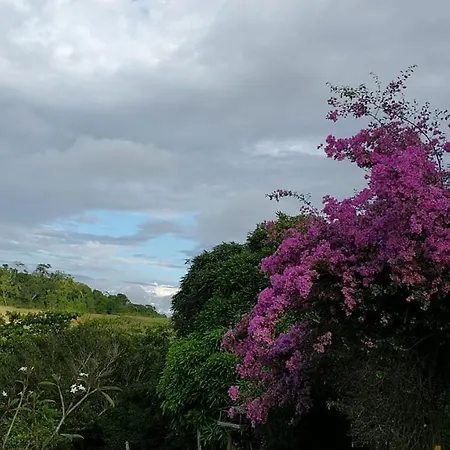 Hotel Fazenda Colibri-2