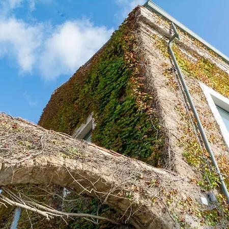 La Belle Vie B&B-2