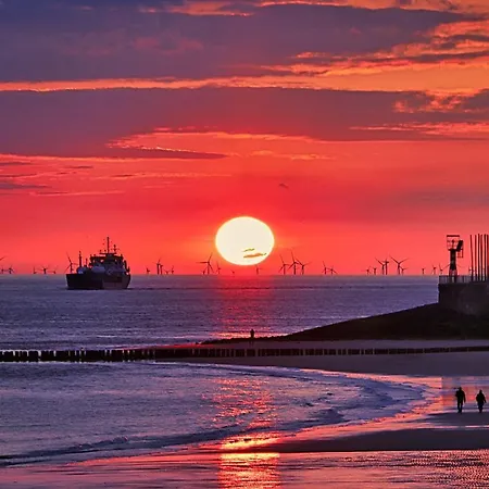 Westerschelde B&B-2