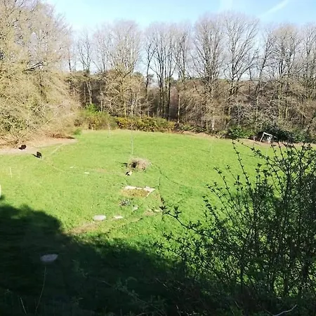 MANOIR DU TERTRE au coeur de la forêt de Brocéliande-3