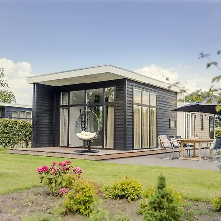 Buzzard 4 Persons-3