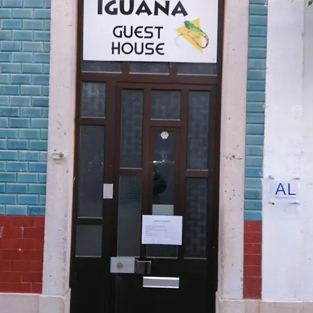 Iguana Guesthouse-3
