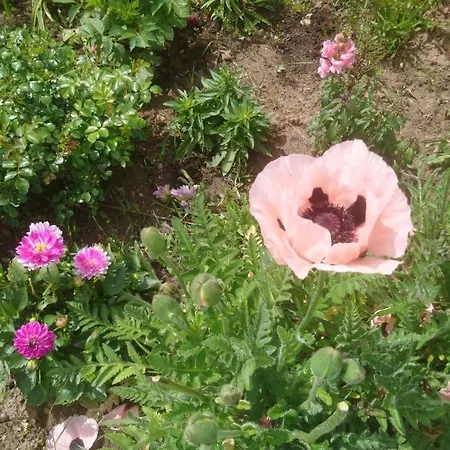 Le Bonheur A Portee De Mains-3