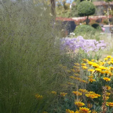 Les Jardins De Santa Giulia - Charmante chambre dhte-2
