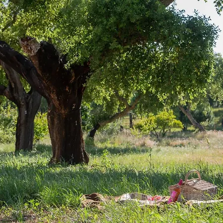 Herdade Do Vale Da Abelheira By Mystay-2