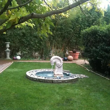 Vineyard Inn Hotel-3