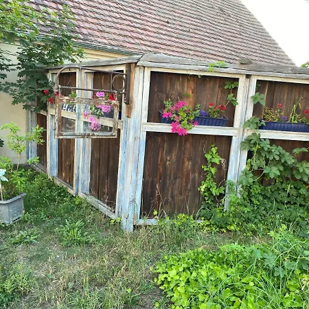 Ostsee Radlerpension Peitz-2