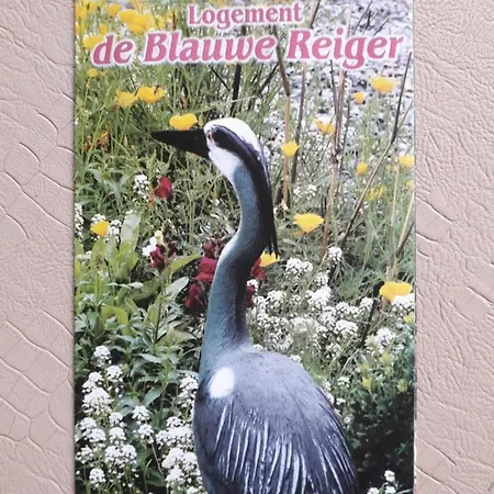 Logement de Blauwe Reiger-2