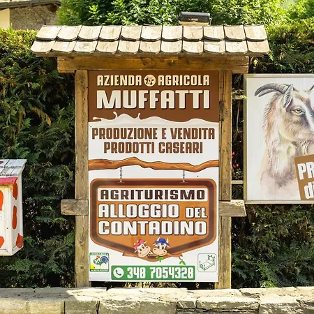 Alloggio del contadino-3