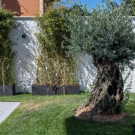 Grey House Guest House Luxury-2