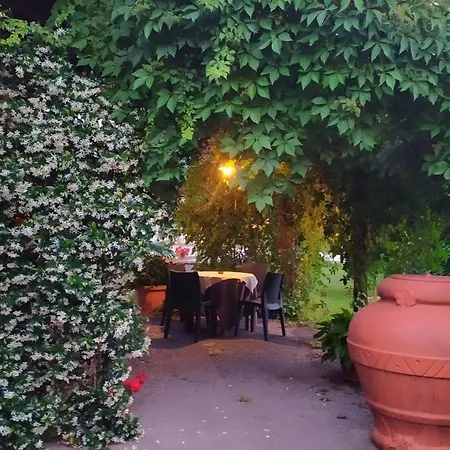 Mille e una notte-2