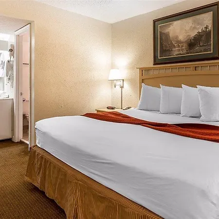 South Bay Inn (Adults Only)-3