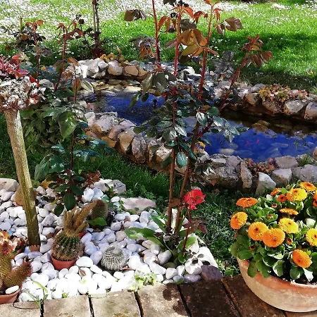 La Ginestra-2