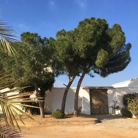 Torre de la Campana-2