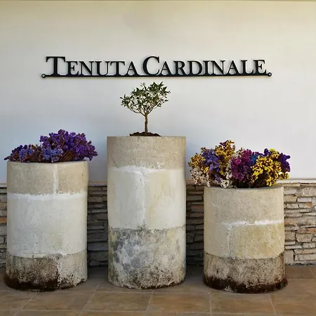 Tenuta Cardinale-3