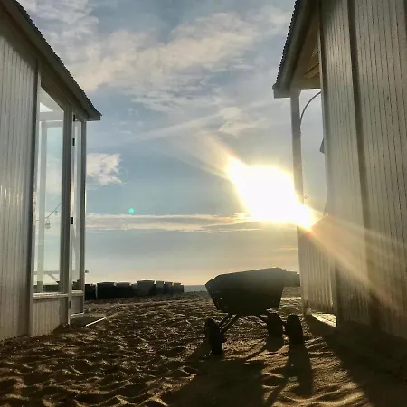 Hippocampus Aan Zee-3