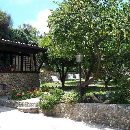 La tana del tasso Ventimiglia-3
