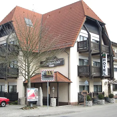 Hotel Waldparkstube-3