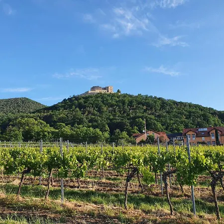 Weinhaus Paradies-3