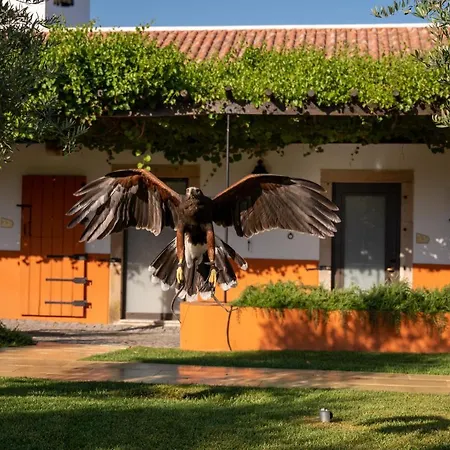 Vila Gale Collection Alter Real - Resort Equestre, Conference & Spa-2