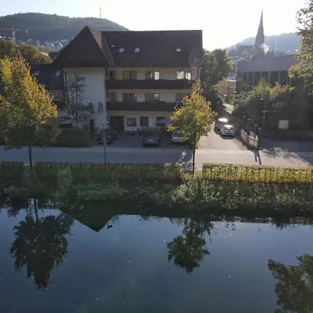 Hotel Schiff Nagold-2