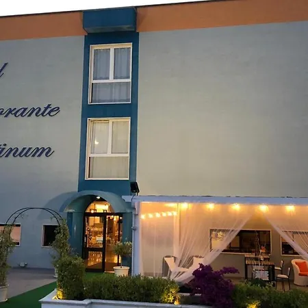 Hotel Palatinum-2