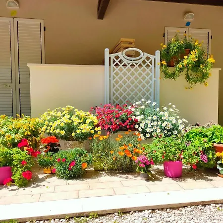 Il Gelso di Sofia B&B-3