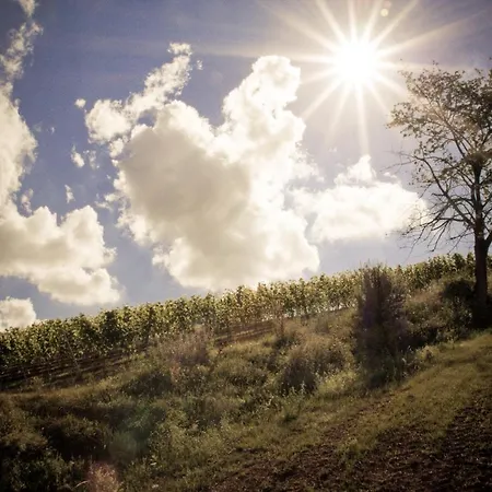 Landhotel&Weingut Espenhof-3
