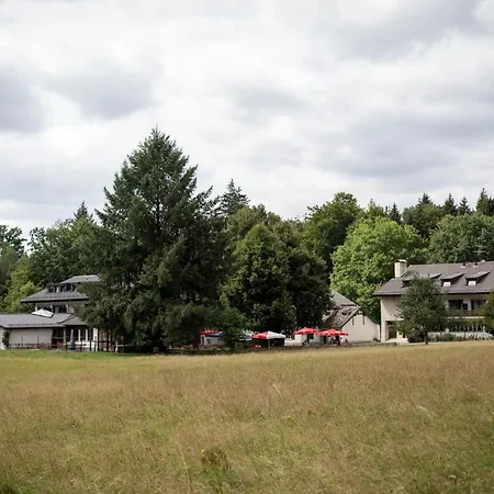 Hotel Waldgasthof zum Geländer-2
