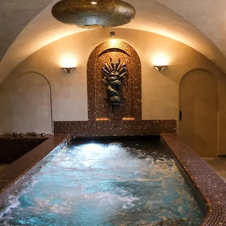 Hôtel Restaurant Spa Le Sauvage-3