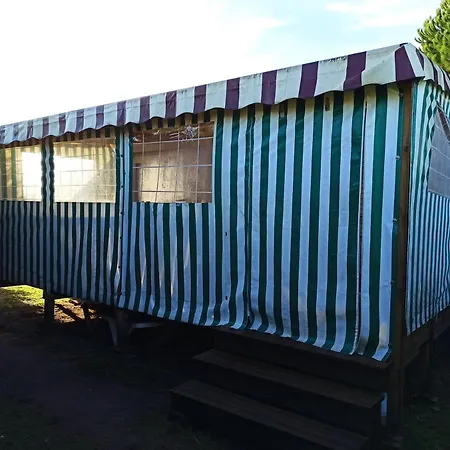 Mobilhome 433 La Palmyre-2